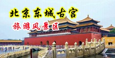 摸摸操老女人的逼中国北京-东城古宫旅游风景区